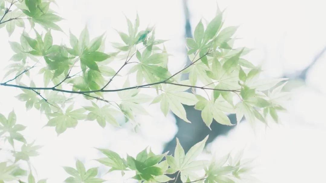 实现梦想的励志句子（为了梦想努力前行短句）