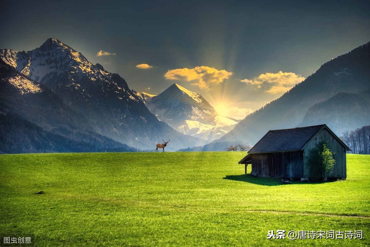 体现爱国思想的诗句（表达爱国精神的诗句鉴赏）