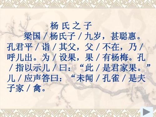 杨氏之子翻译和注释（杨氏之子原文赏析）