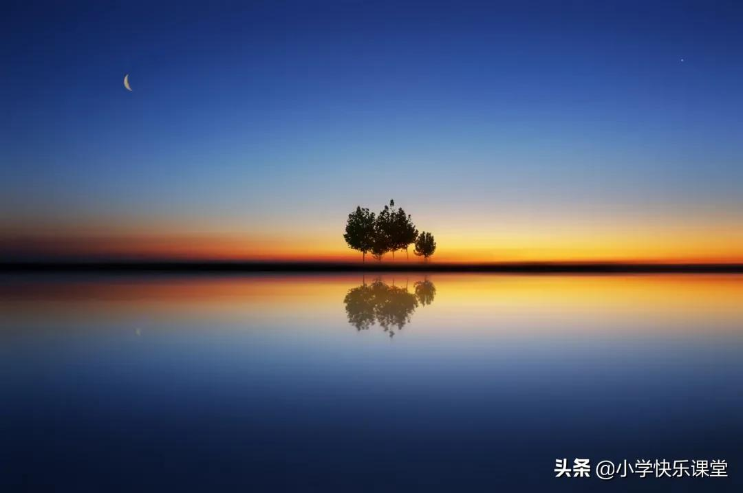 关于植物的作文（三年级写植物300字满分作文）