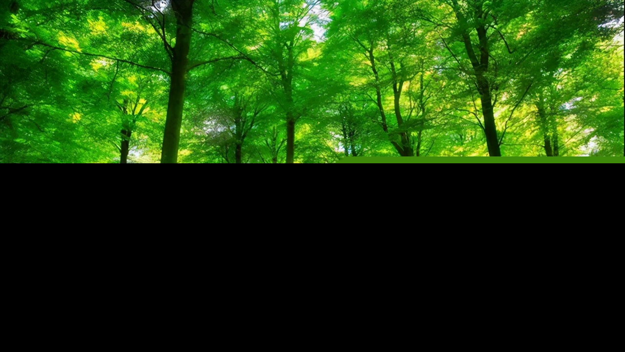 夏天作文600字（描写夏天的景色作文）