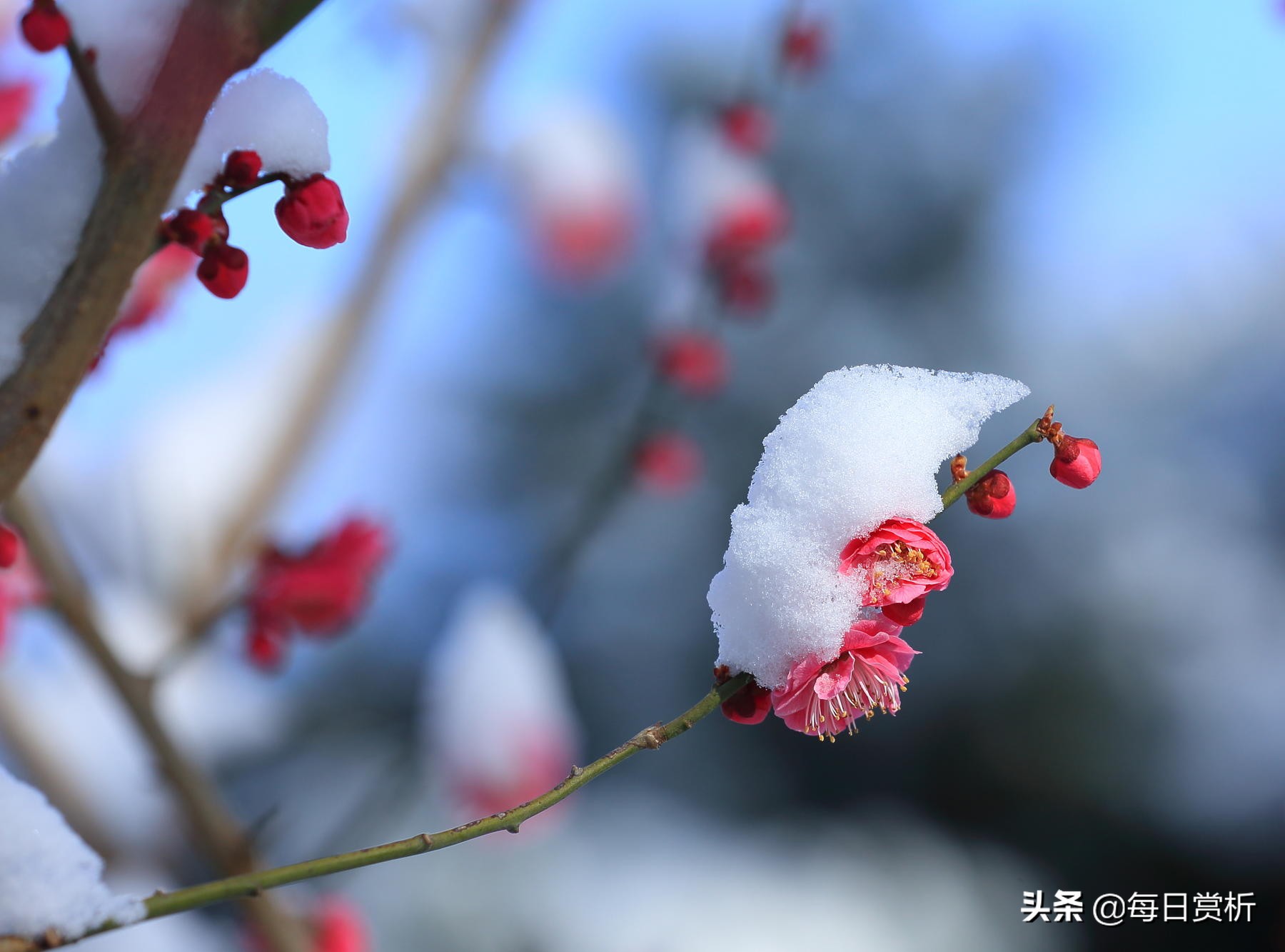 形容三月下雪的句子（三月下雪的心情感慨）