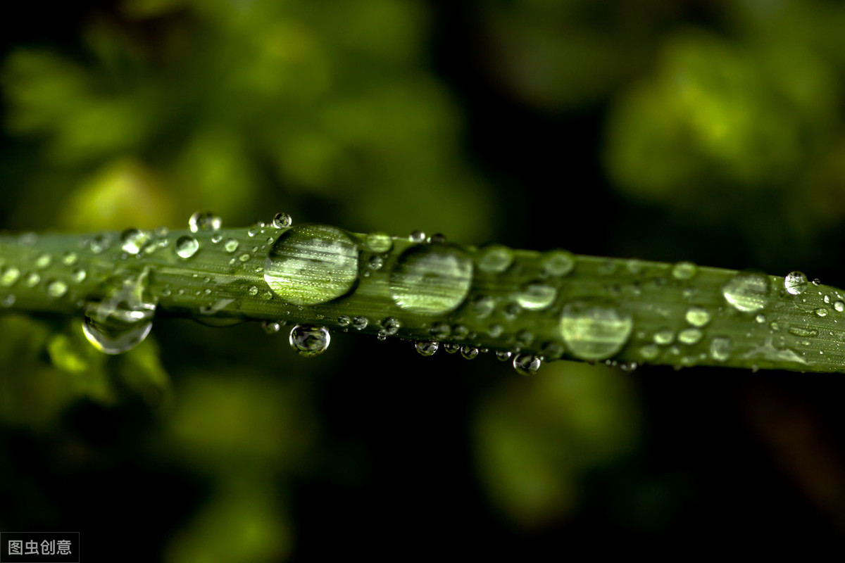 春夜喜雨意思翻译（春夜喜雨的诗意解释）