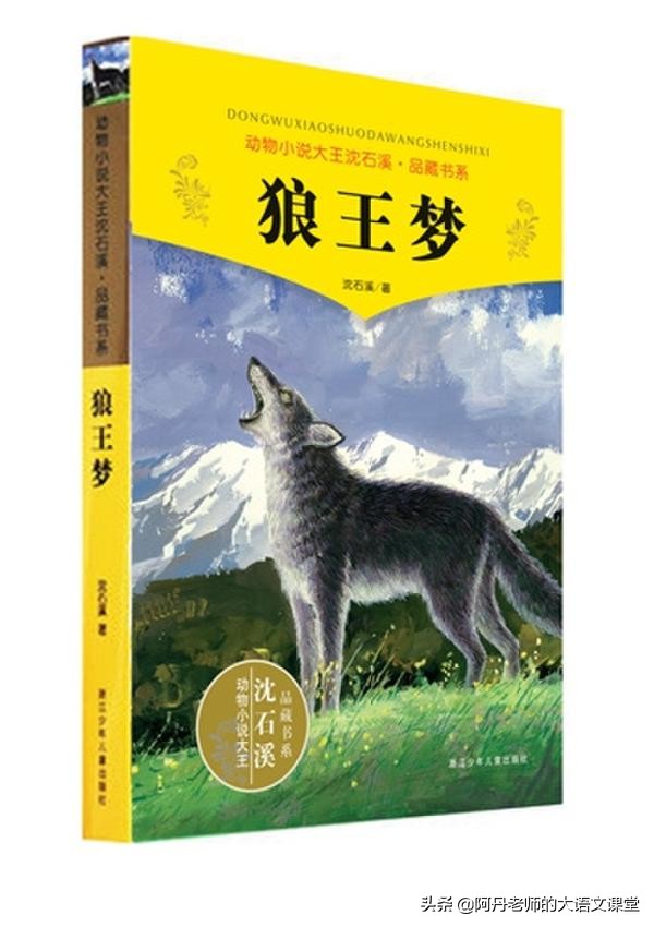 好书推荐怎么写（好书推荐及理由）