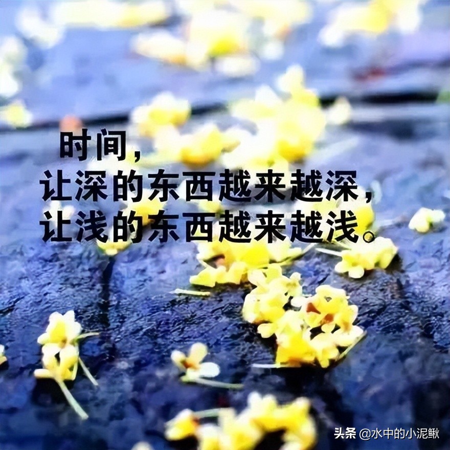 2022年鼓励自己的话（感慨的句子致自己简短）