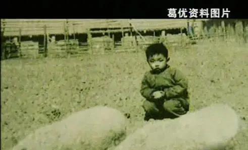 葛优经典台词有哪些（葛优编辑部的故事以及经典台词）