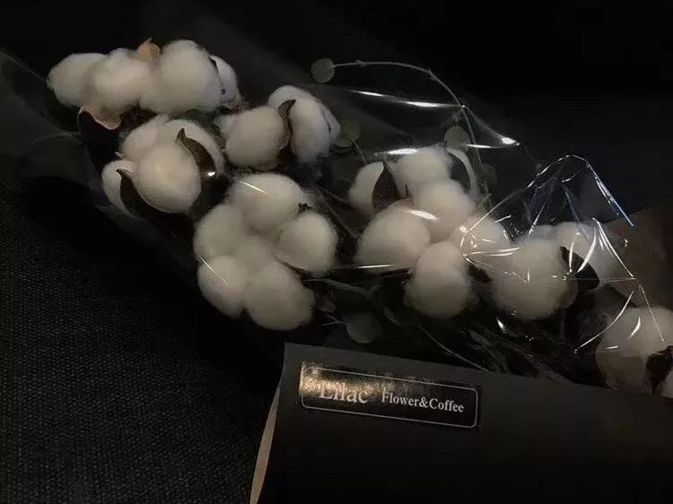 清明节的思念诗歌（简短清明节文案）