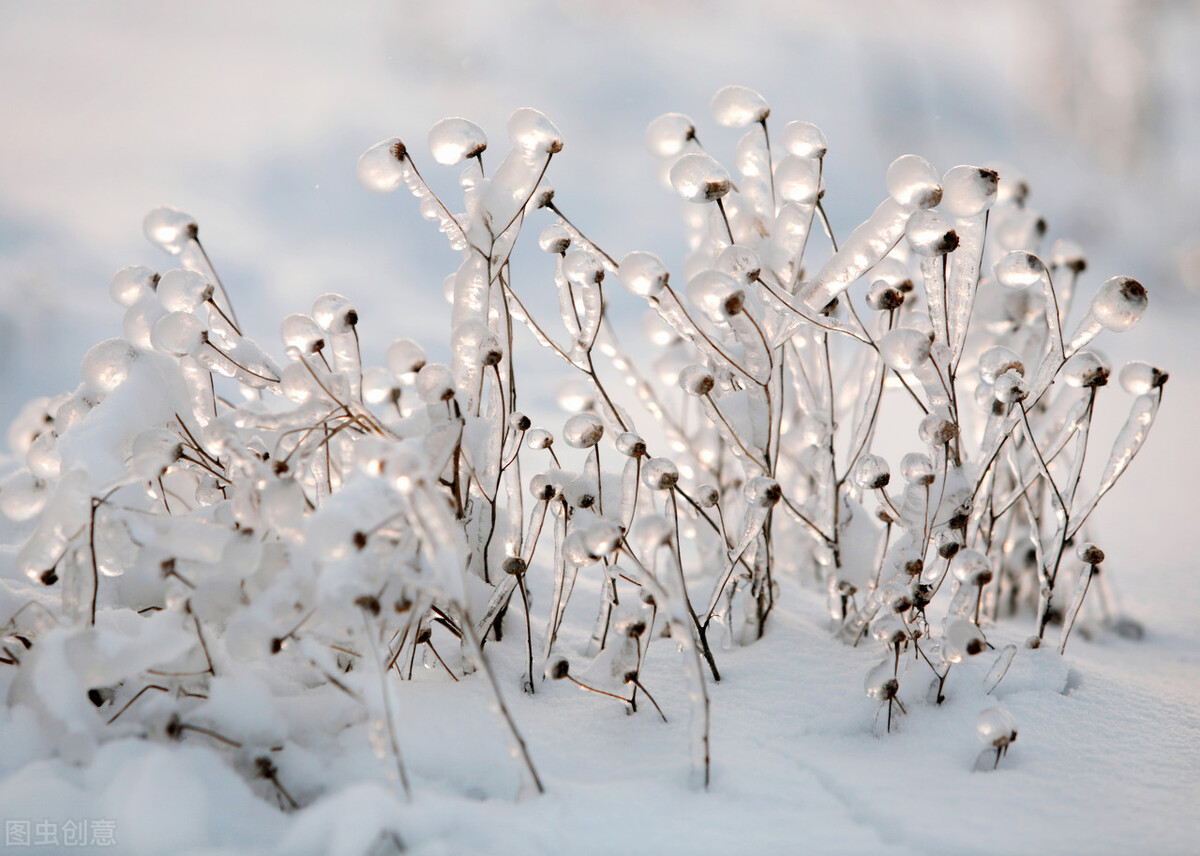 描写大雪的句子有哪些（雪景感悟短句）