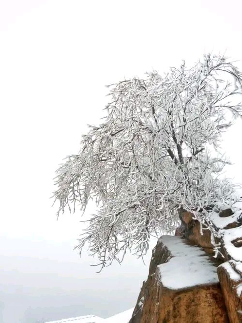 雪景散文诗怎么写（描写冬天景色的优美短句散文 ）