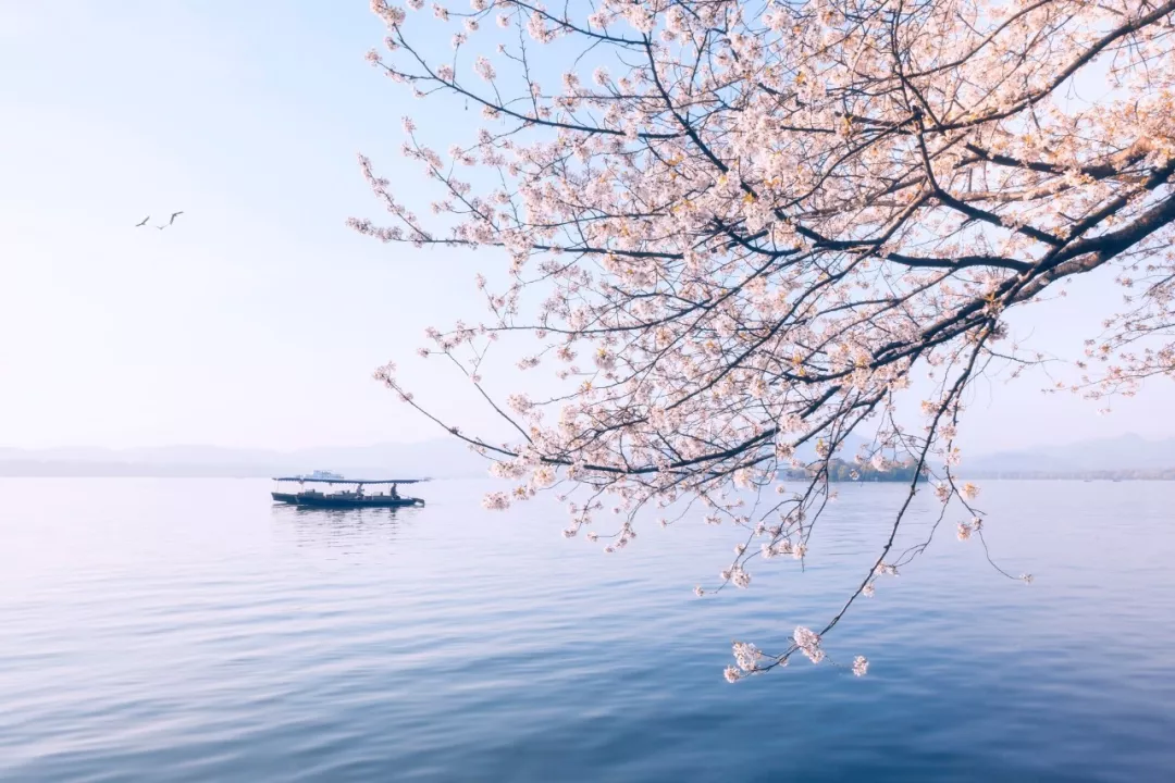 与春天有关的成语（形容春暖花开的成语）