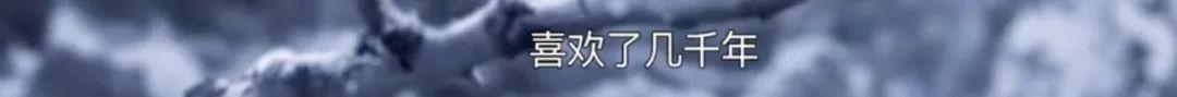 雷人语句经典霸气（雷人雷语经典语录短句）