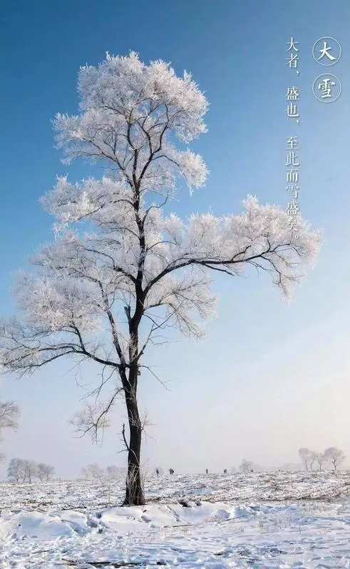 雪景散文诗怎么写（描写冬天景色的优美短句散文 ）