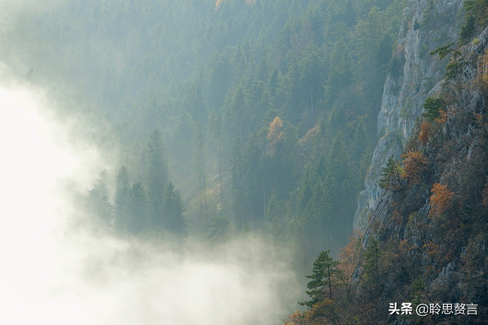 洛中访袁拾遗不遇翻译（洛中访袁拾遗不遇古诗）