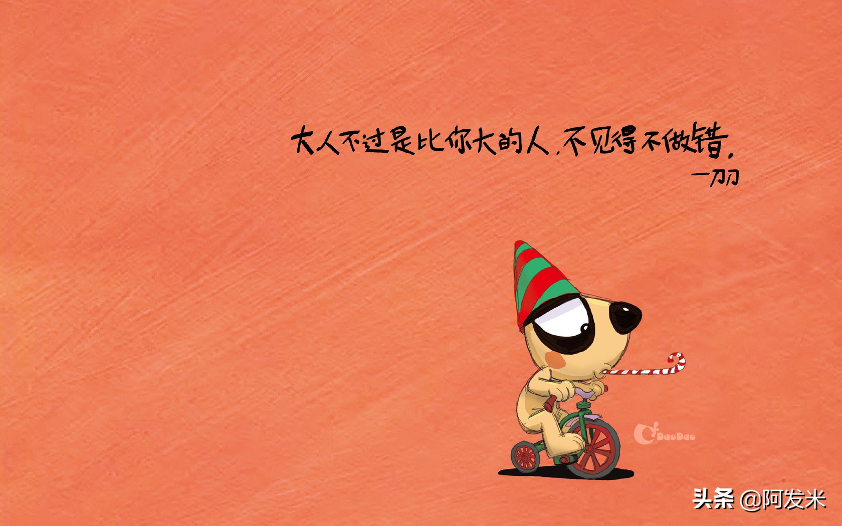 关于刀刀语录（刀刀经典语录分享）