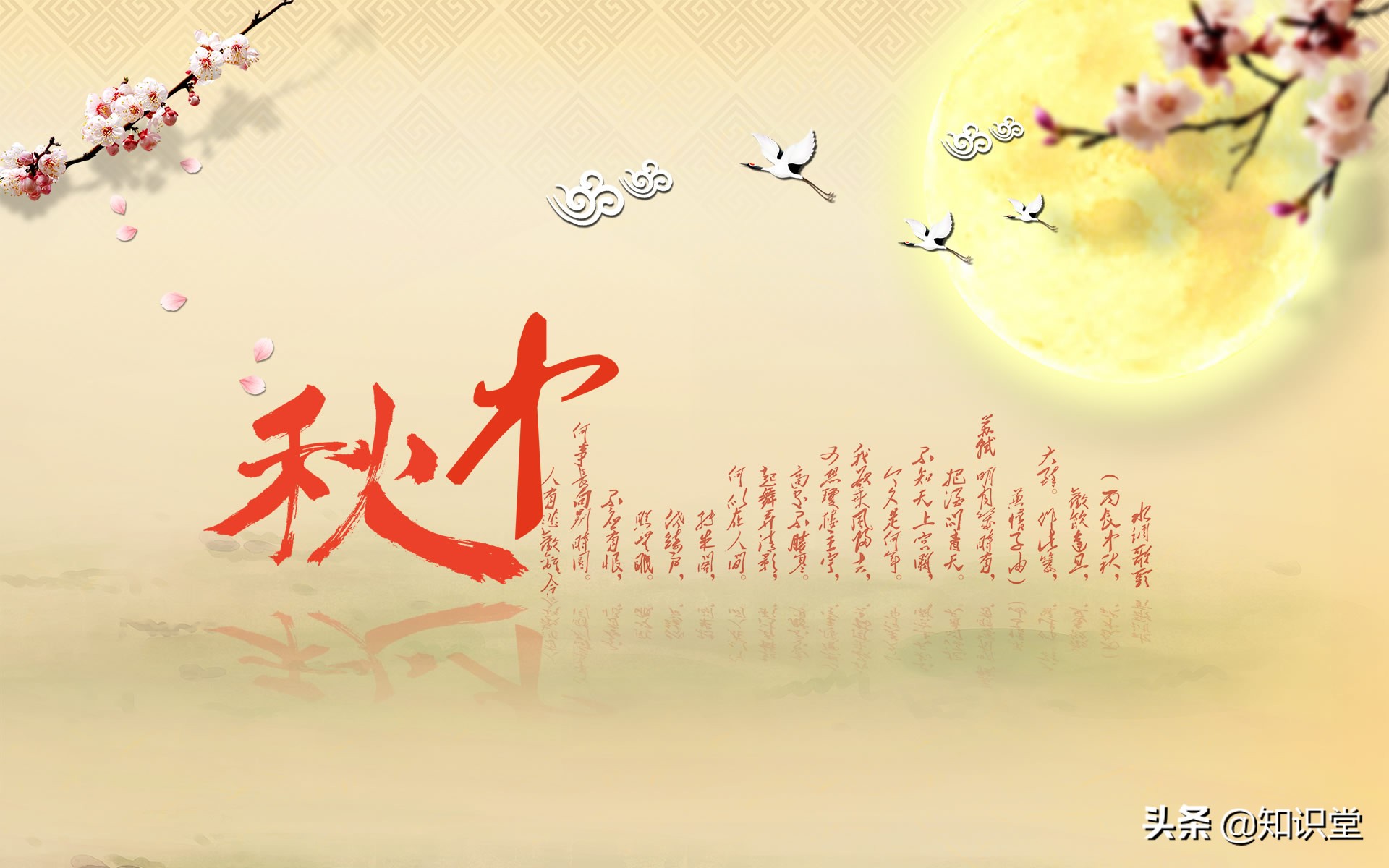 八月十五祝福语简短句子（简短生日祝福语大全）