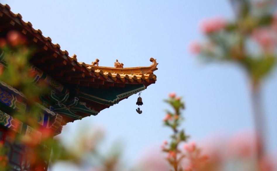 踏青的诗词有什么（古人踏青诗词赏析）