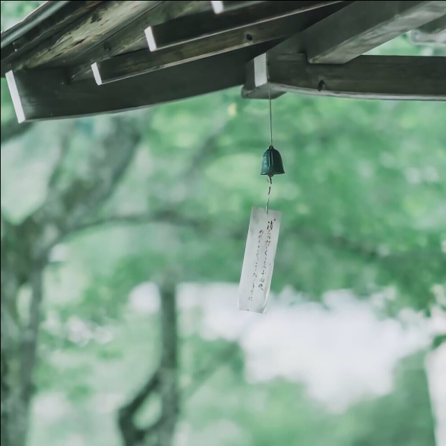 写景的优美句子摘抄（风景文章优美段落摘抄）