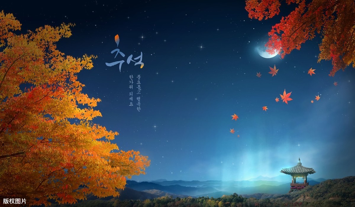 月亮诗词有些什么（描写月亮的诗词名句）