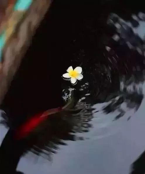 雨水诗句古诗大全（描写雨水节气的古诗欣赏）