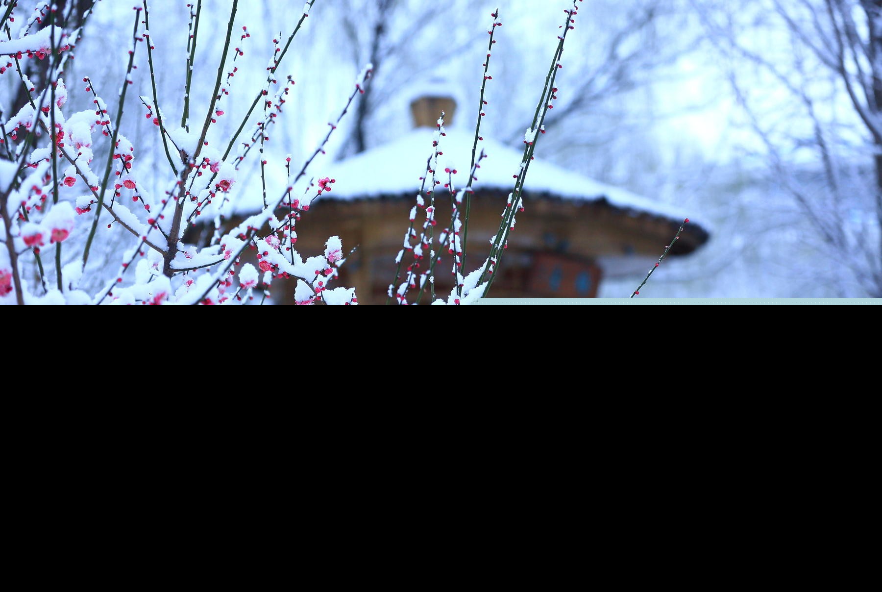 形容三月下雪的句子（三月下雪的心情感慨）