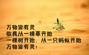 现代诗歌鉴赏摘抄（现代诗词大全赏析）