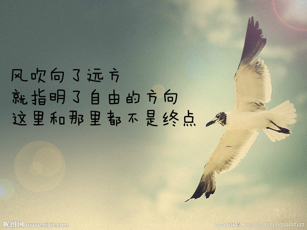 现代诗歌鉴赏摘抄（现代诗词大全赏析）