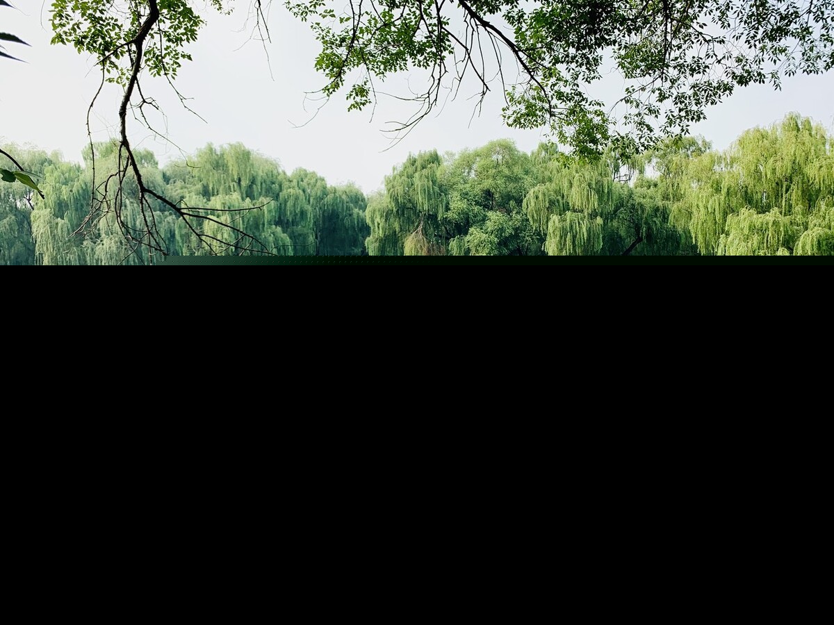 对生活热爱的名言（热爱生活格言经典短句）