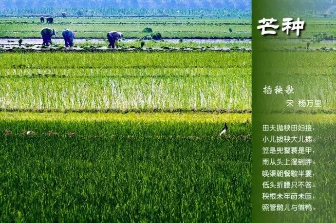 关于二十四节气的诗句（关于节气的古诗欣赏）