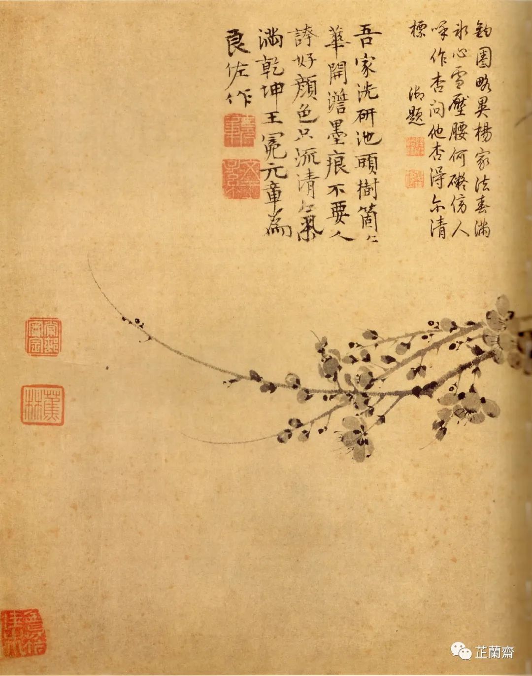 王冕传翻译（王冕文言文翻译及原文拼音）