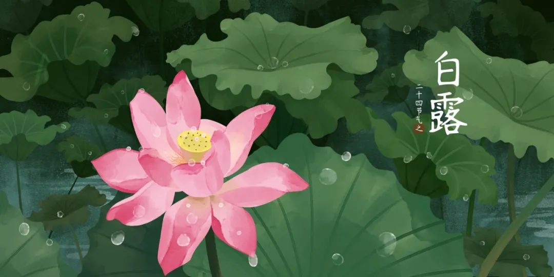 白露的诗句有哪些（白露节气古诗大全）