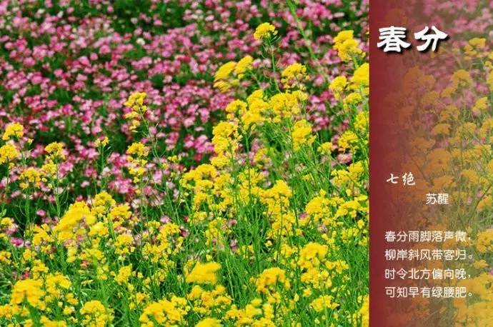 关于二十四节气的诗句（关于节气的古诗欣赏）