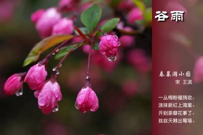 关于二十四节气的诗句（关于节气的古诗欣赏）