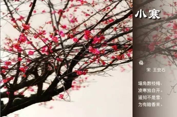 关于二十四节气的诗句（关于节气的古诗欣赏）