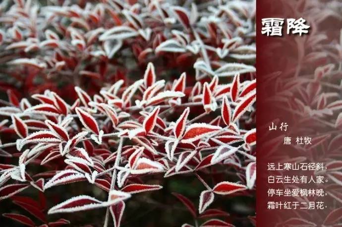 关于二十四节气的诗句（关于节气的古诗欣赏）