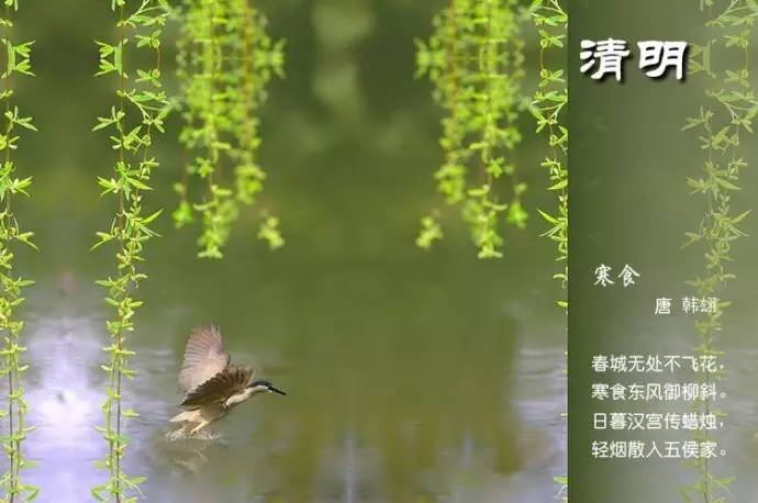 关于二十四节气的诗句（关于节气的古诗欣赏）