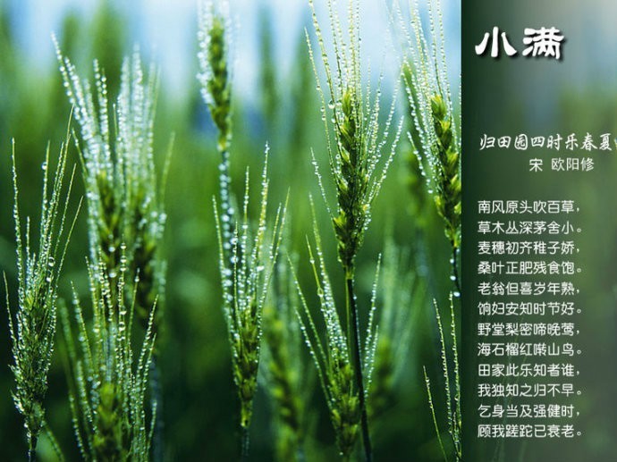 关于二十四节气的诗句（关于节气的古诗欣赏）