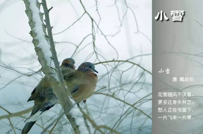 关于二十四节气的诗句（关于节气的古诗欣赏）