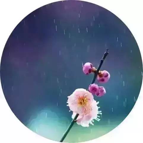 关于雨水节气的诗词（赞美雨水的诗词大全）