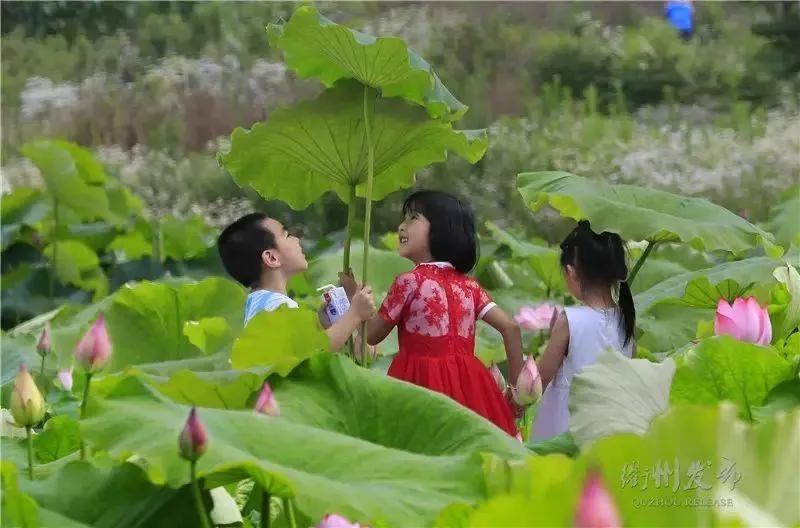 关于六一儿童节的诗歌（赞美六一儿童节的诗）