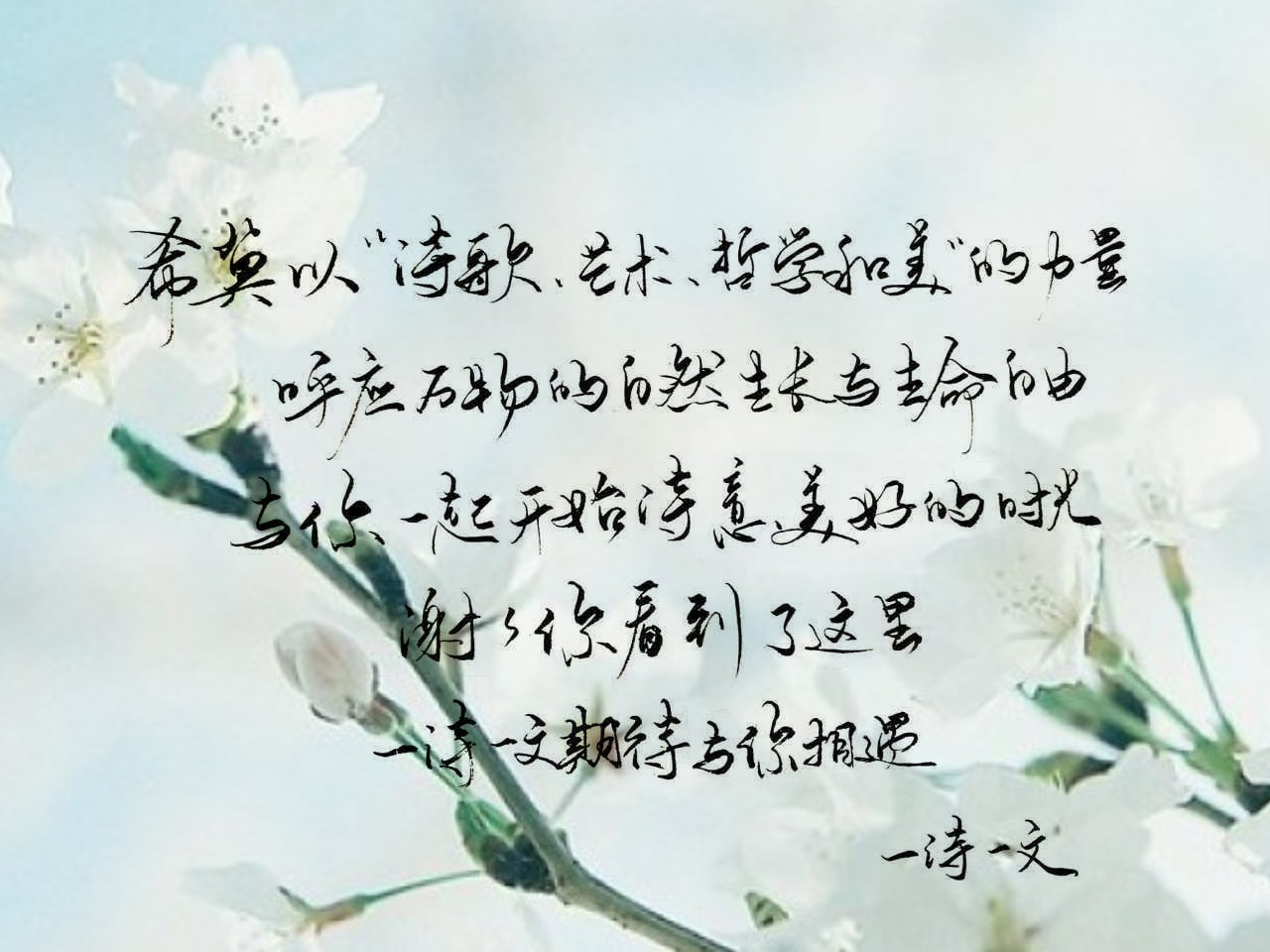 假如生活欺骗了你普希金（普希金最经典的十首短诗）