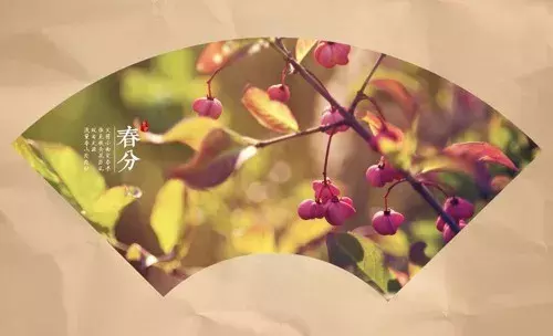 春分古诗大全鉴赏（关于春分节气的古诗）
