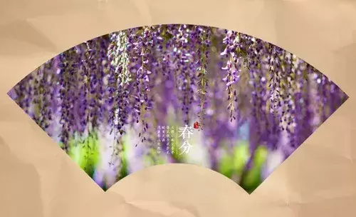 春分古诗大全鉴赏（关于春分节气的古诗）