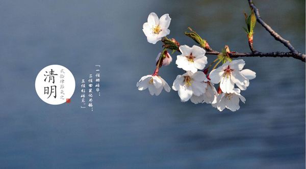 清明时节雨纷纷全诗（清明时节雨纷纷翻译及赏析）