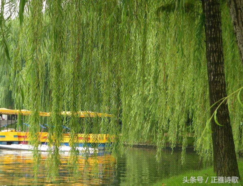 忽见陌头杨柳色什么意思（闺怨王昌龄全诗赏析）
