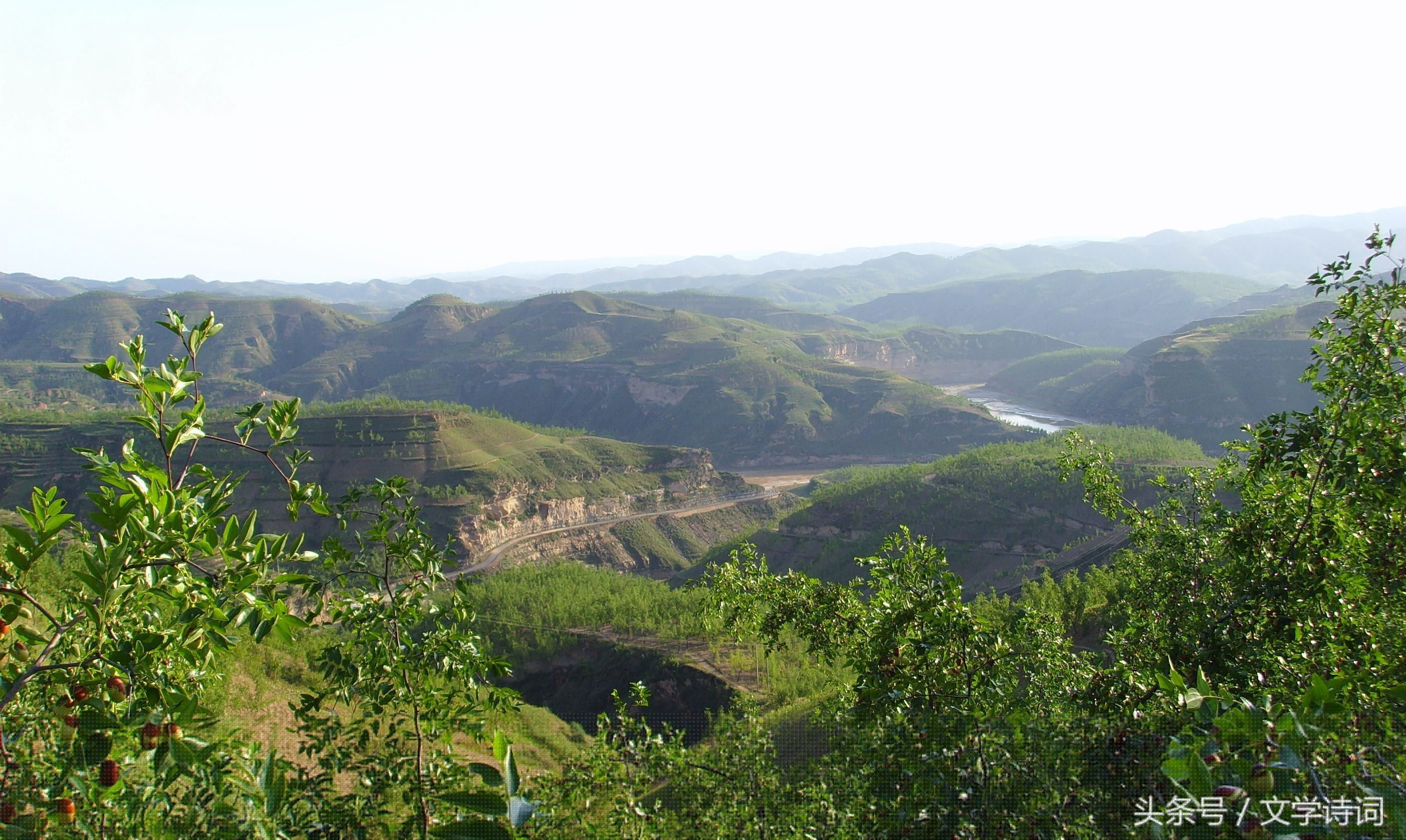 关于山的诗句古诗（描写山间风景的诗句）