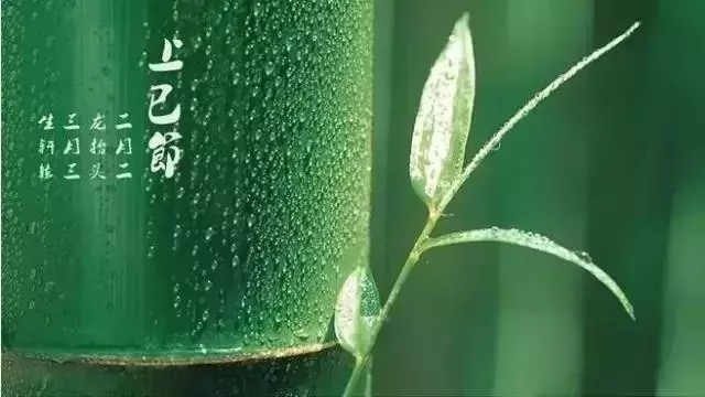 三月三的古诗有哪些（关于三月三诗词歌鉴赏）