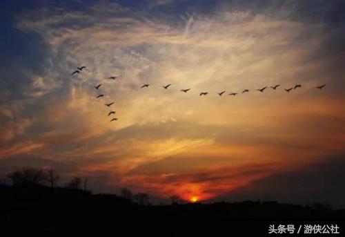 海日生残夜下一句是什么（海日生残夜全诗及赏析）