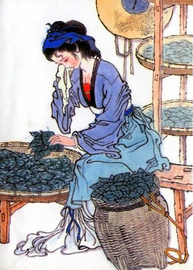 赞美劳动的五言绝句（关于劳动的优美段落摘抄）