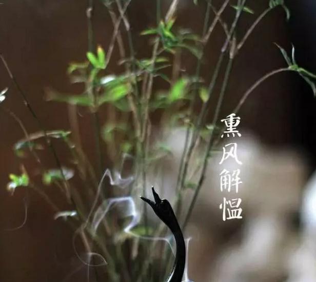 8首描写有关立夏的古诗（描写初夏的诗词欣赏）