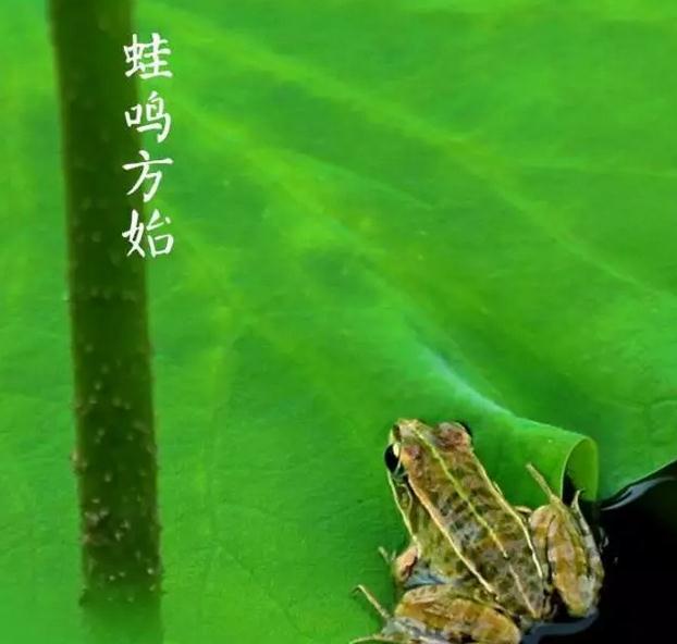 8首描写有关立夏的古诗（描写初夏的诗词欣赏）